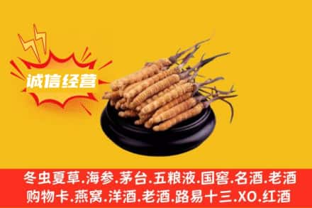 新乡市原阳回收冬虫夏草